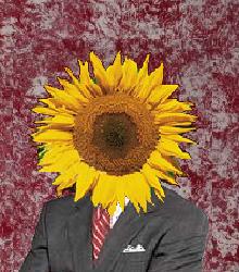 The Sunflower Official